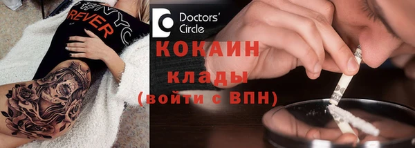 твердый Аркадак
