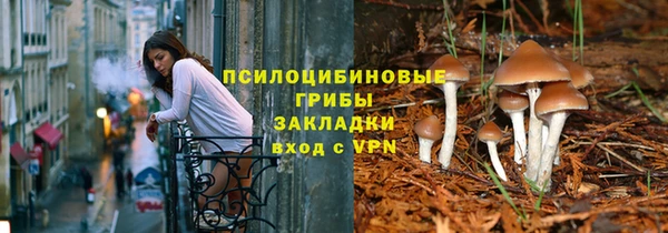 стаф Арсеньев