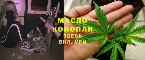 стаф Арсеньев