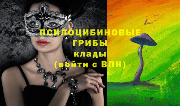 стаф Арсеньев