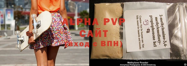 стаф Арсеньев