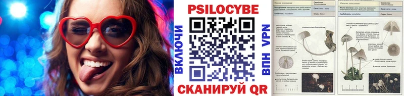 как найти закладки  Острогожск  Псилоцибиновые грибы Psilocybe 